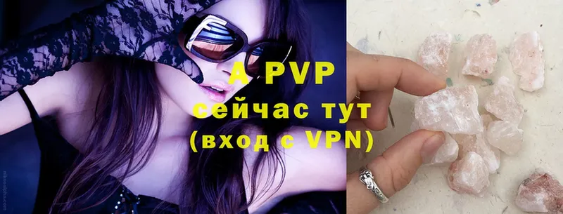 omg сайт  сайты даркнета как зайти  Alpha PVP СК КРИС  Зерноград 